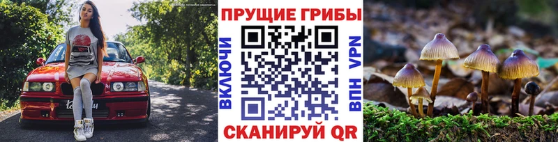 Псилоцибиновые грибы Cubensis  hydra вход  Олёкминск  где найти наркотики 